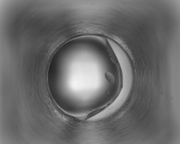 X0000064720481200602241645