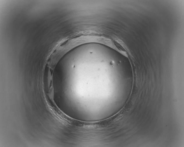 X0000064720482200602241645