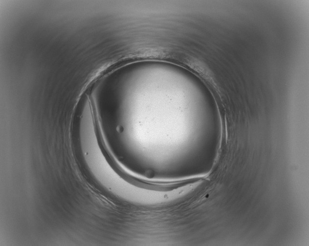 X0000064720483200602241645