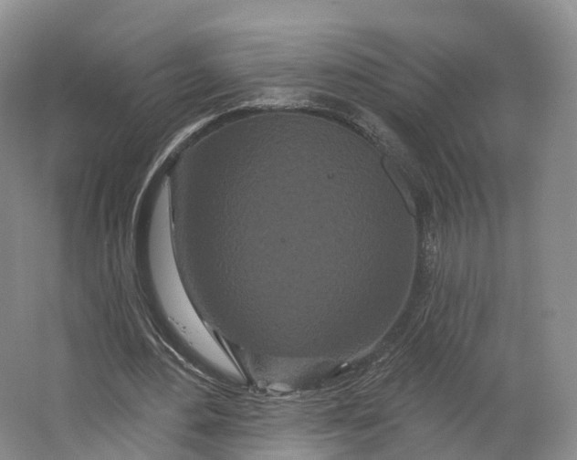 X0000064720484200602241645