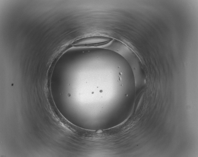 X0000064720485200602241645