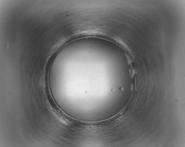 X0000064720486200602241645