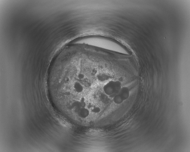 X0000064720487200602241645