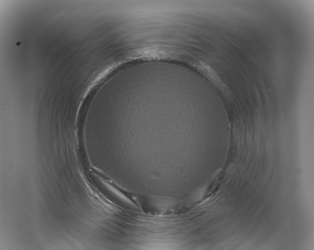 X0000064720488200602241645