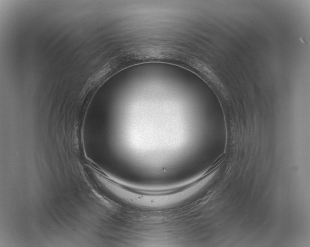 X0000064720489200602241645