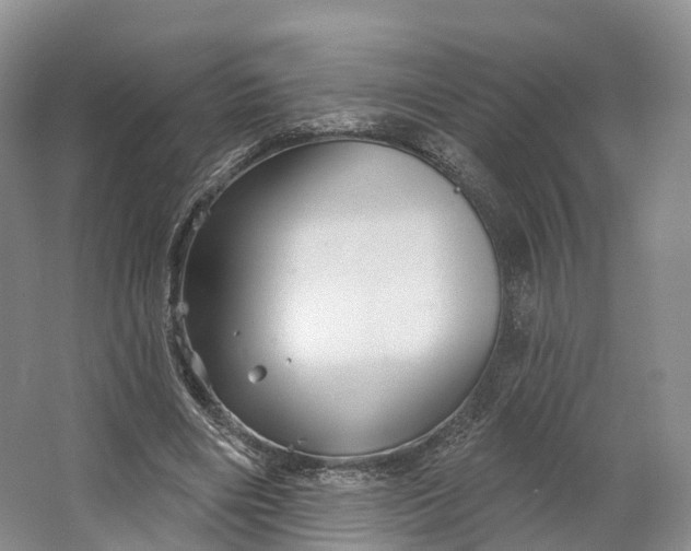 X0000064720490200602241645