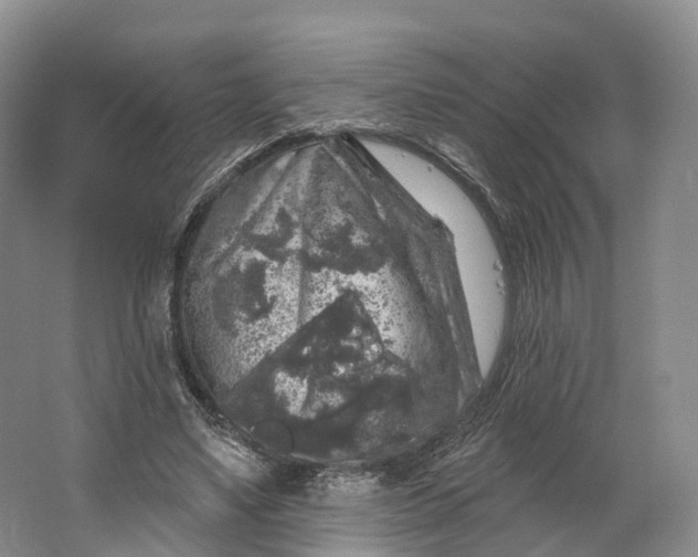 X0000064720491200602241645