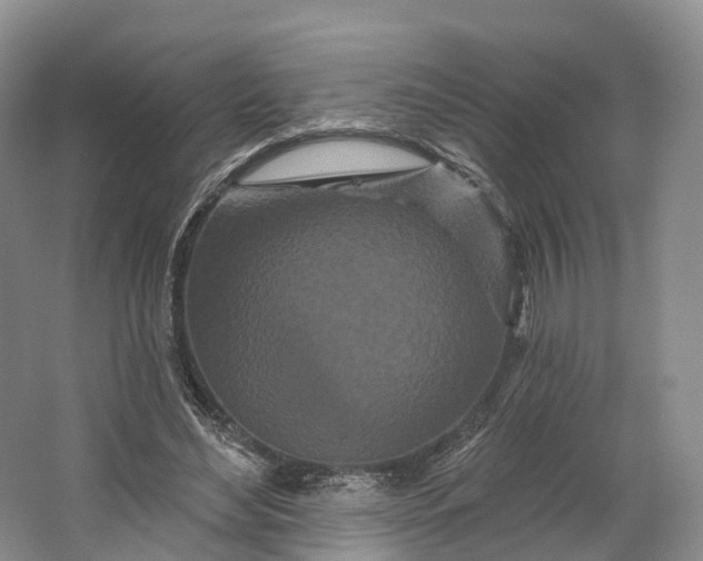 X0000064720492200602241645