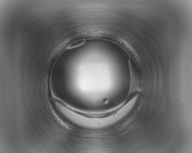 X0000064720493200602241645