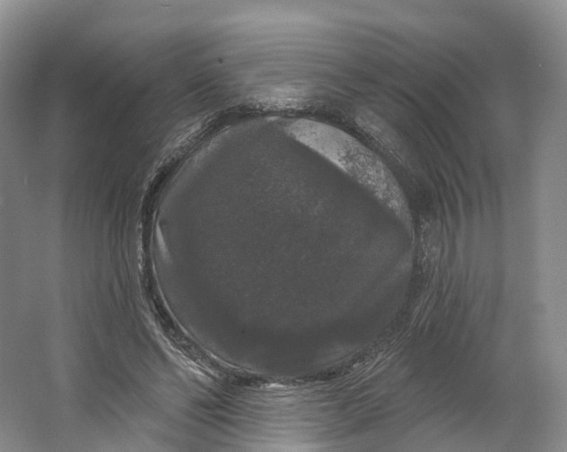 X0000064720494200602241645