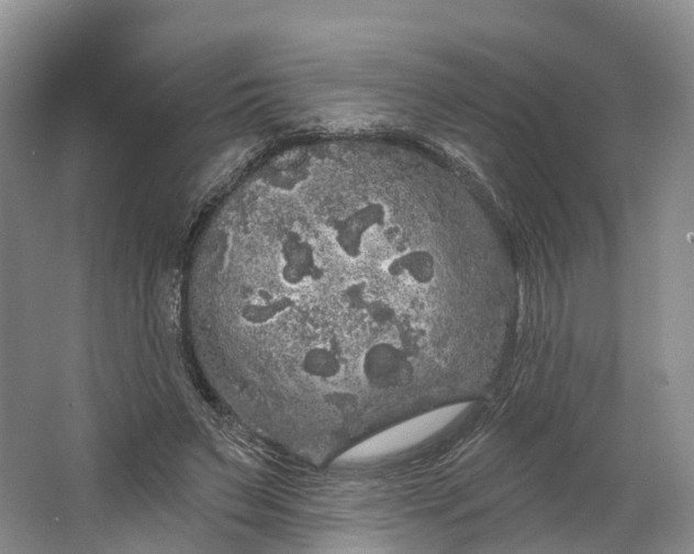 X0000064720495200602241645