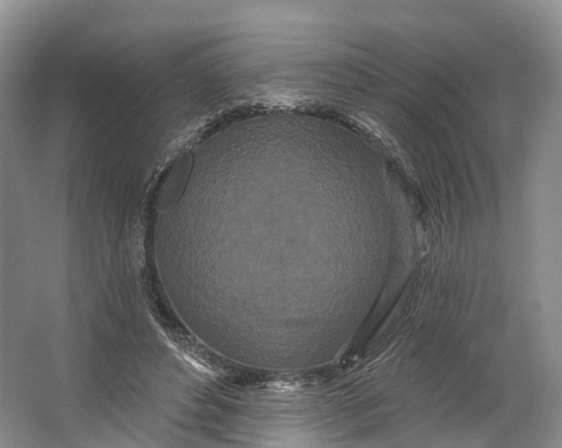 X0000064720496200602241645