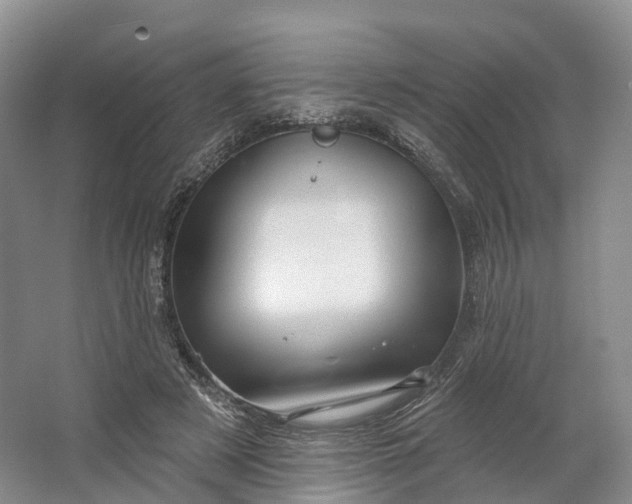 X0000064720497200602241645