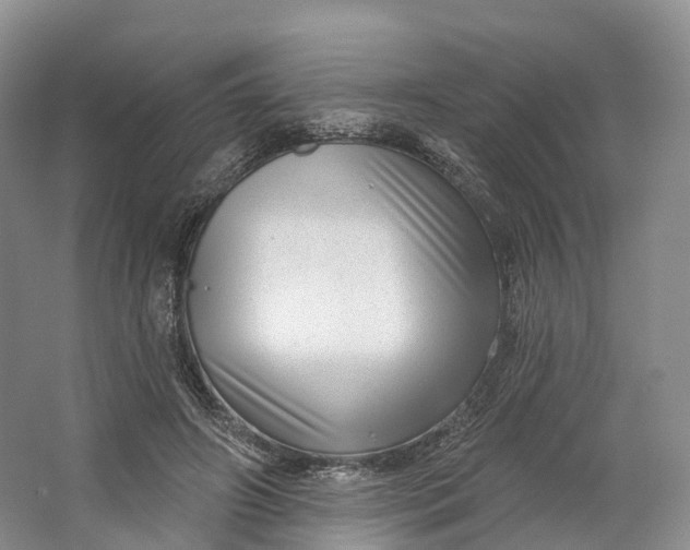 X0000064720498200602241645