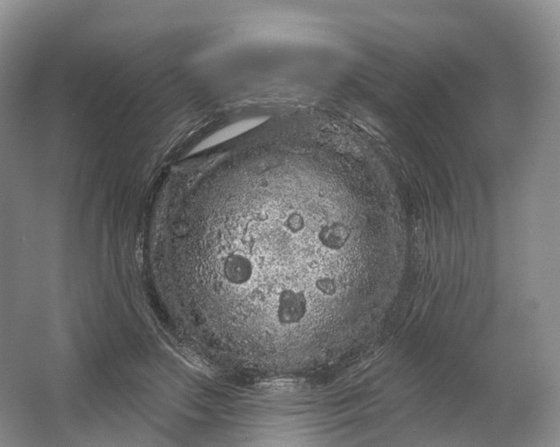 X0000064720499200602241645