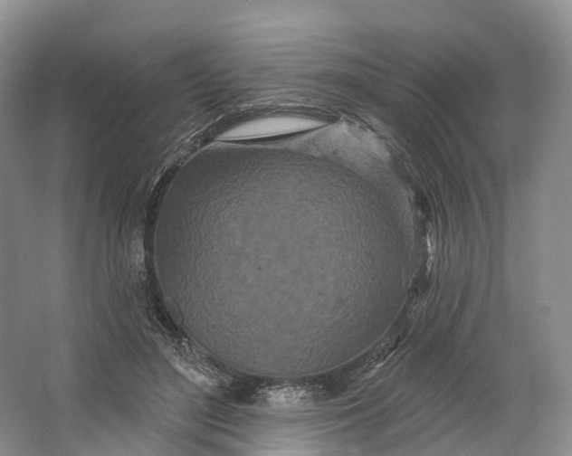 X0000064720500200602241645