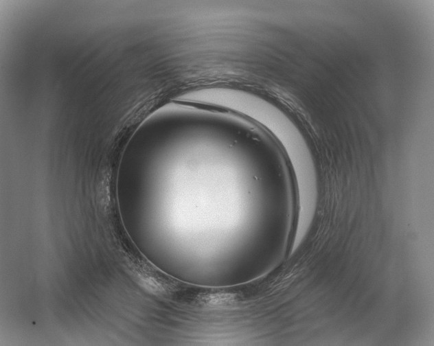 X0000064720501200602241645