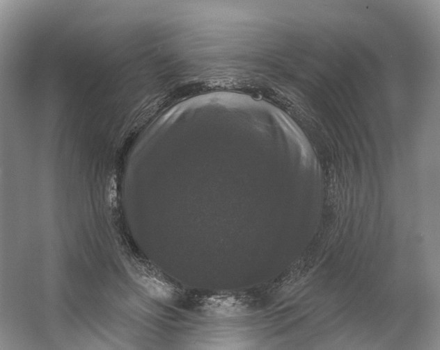 X0000064720502200602241645