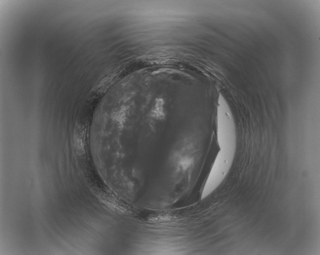 X0000064720503200602241645