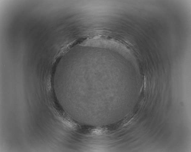 X0000064720504200602241645