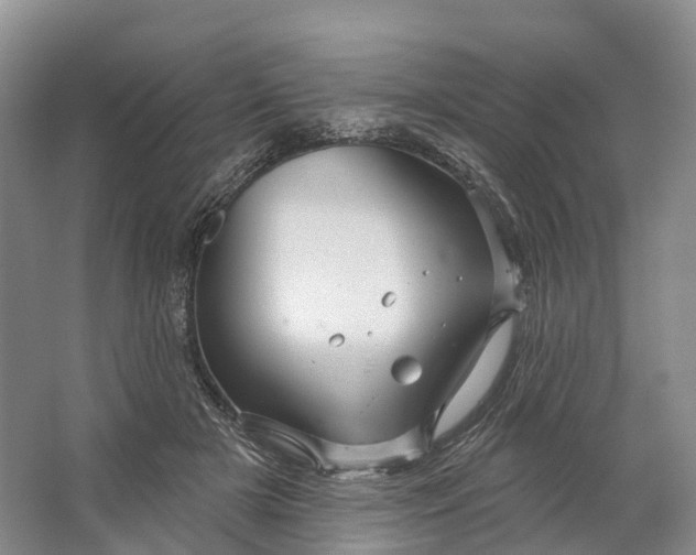 X0000064720505200602241645