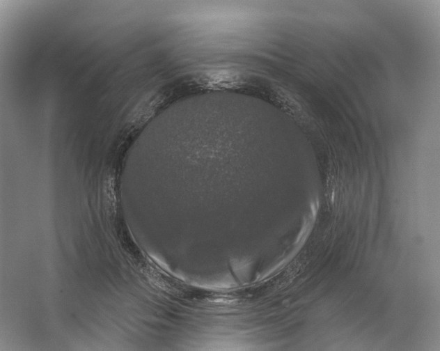 X0000064720506200602241645