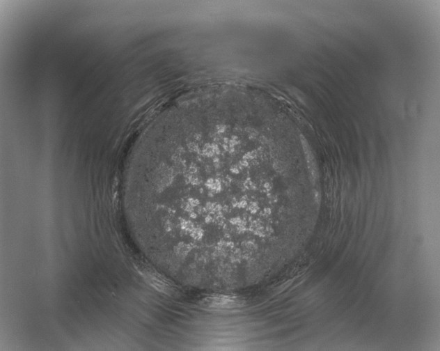 X0000064720507200602241645