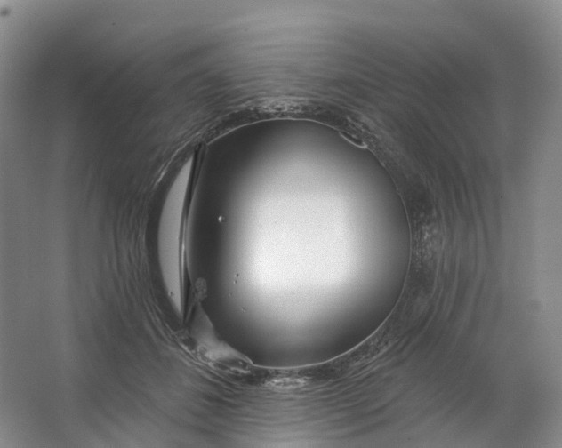 X0000064720508200602241645