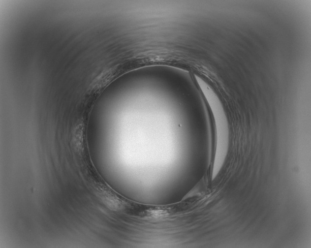 X0000064720509200602241645