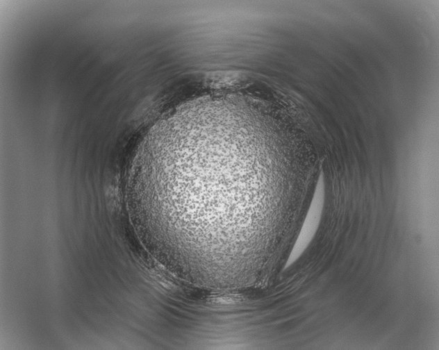 X0000064720510200602241644