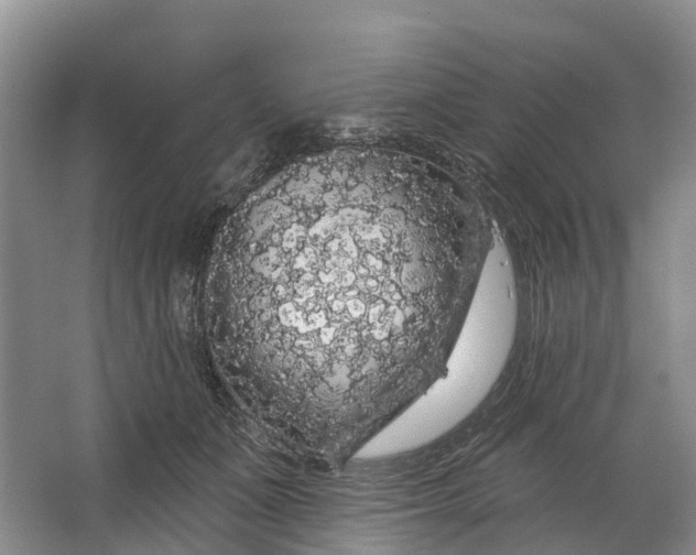 X0000064720511200602241644