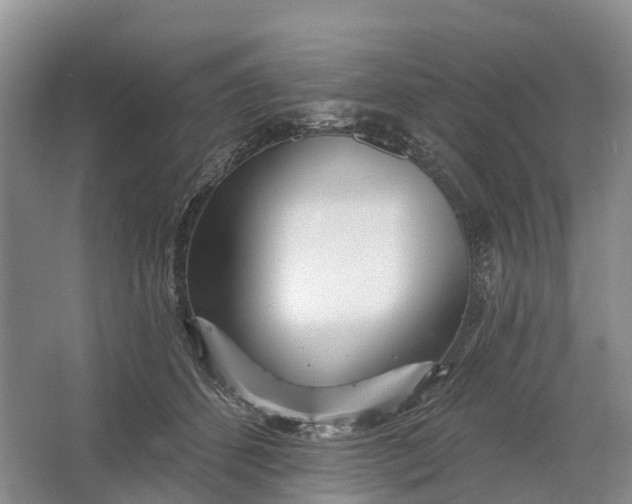 X0000064720512200602241644