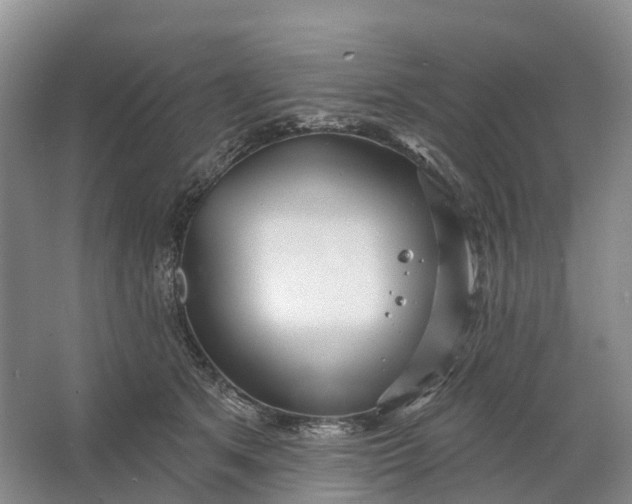 X0000064720513200602241644