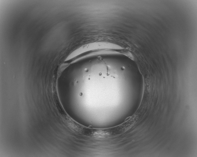 X0000064720515200602241644