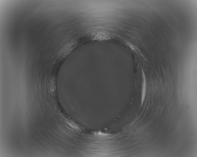 X0000064720517200602241644