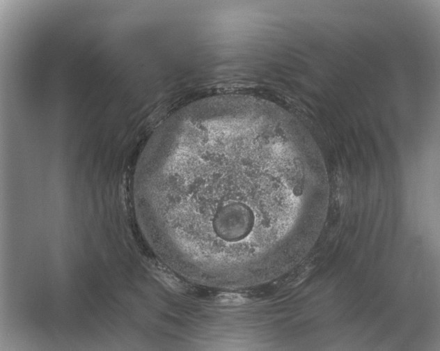 X0000064720519200602241644