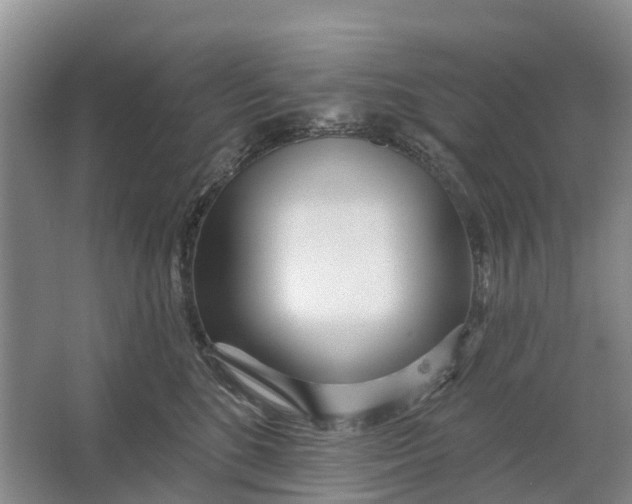 X0000064720520200602241644