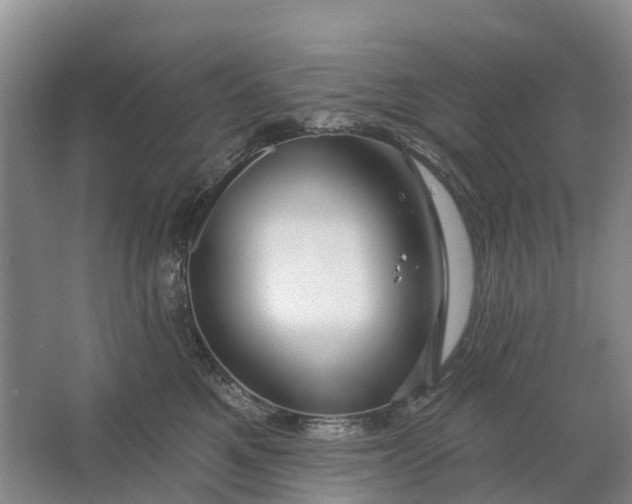 X0000064720521200602241644