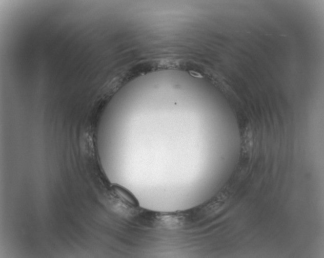 X0000064720522200602241644