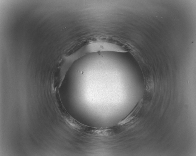 X0000064720524200602241644