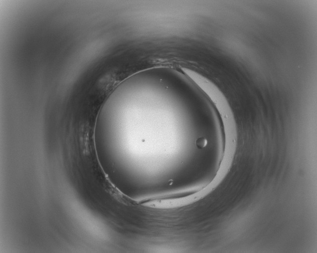 X0000064720525200602241644