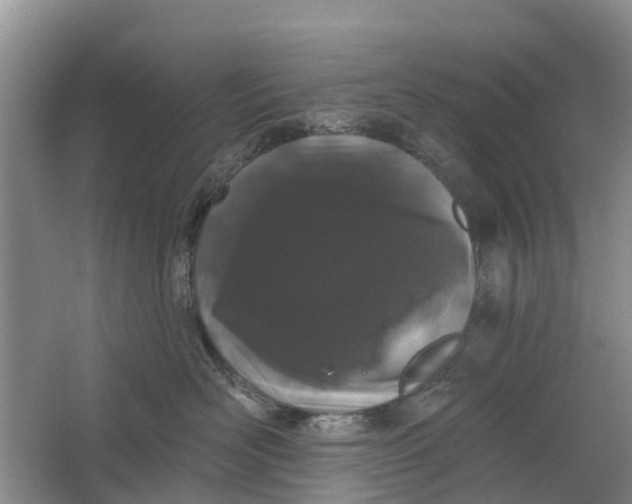 X0000064720526200602241644