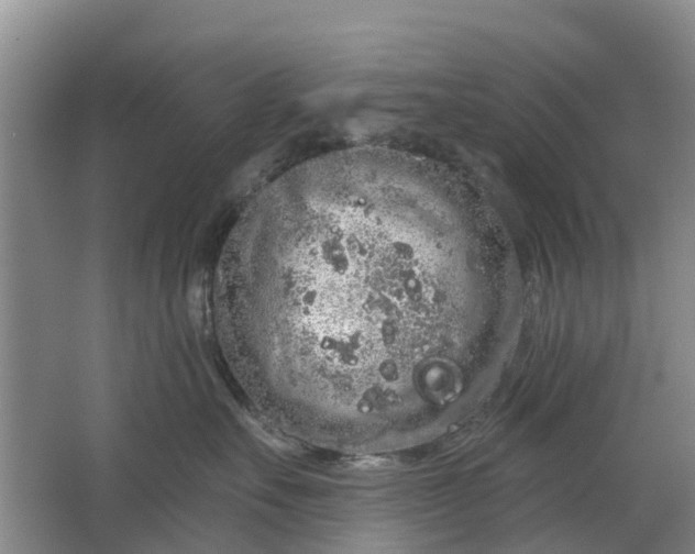 X0000064720527200602241644