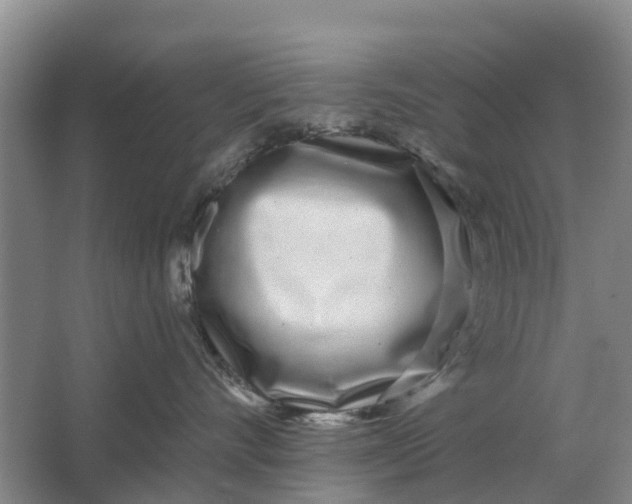 X0000064720528200602241644