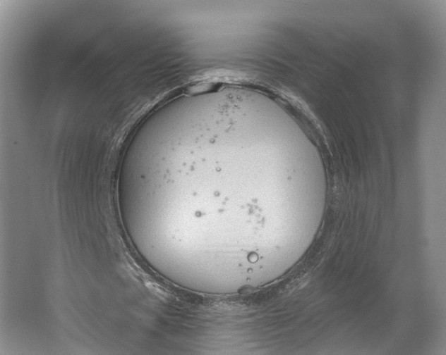 X0000064720529200602241643