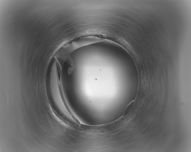 X0000064720530200602241643