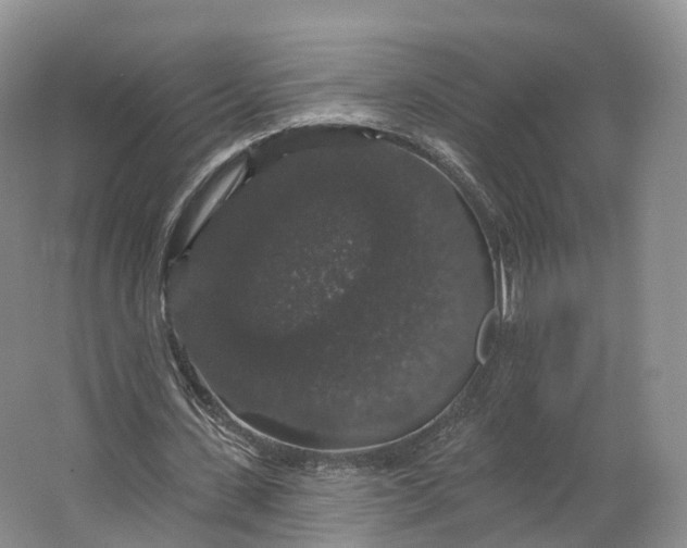 X0000064720531200602241643