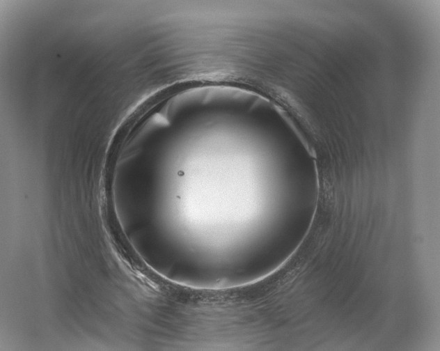 X0000064720532200602241643