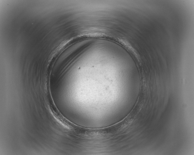 X0000064720533200602241643