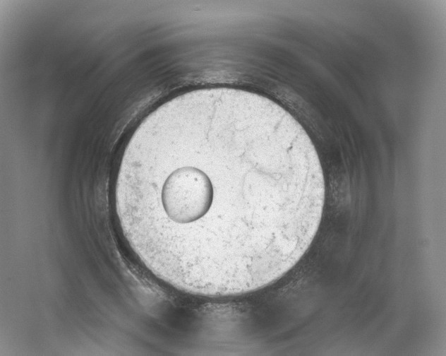 X0000064720534200602241643